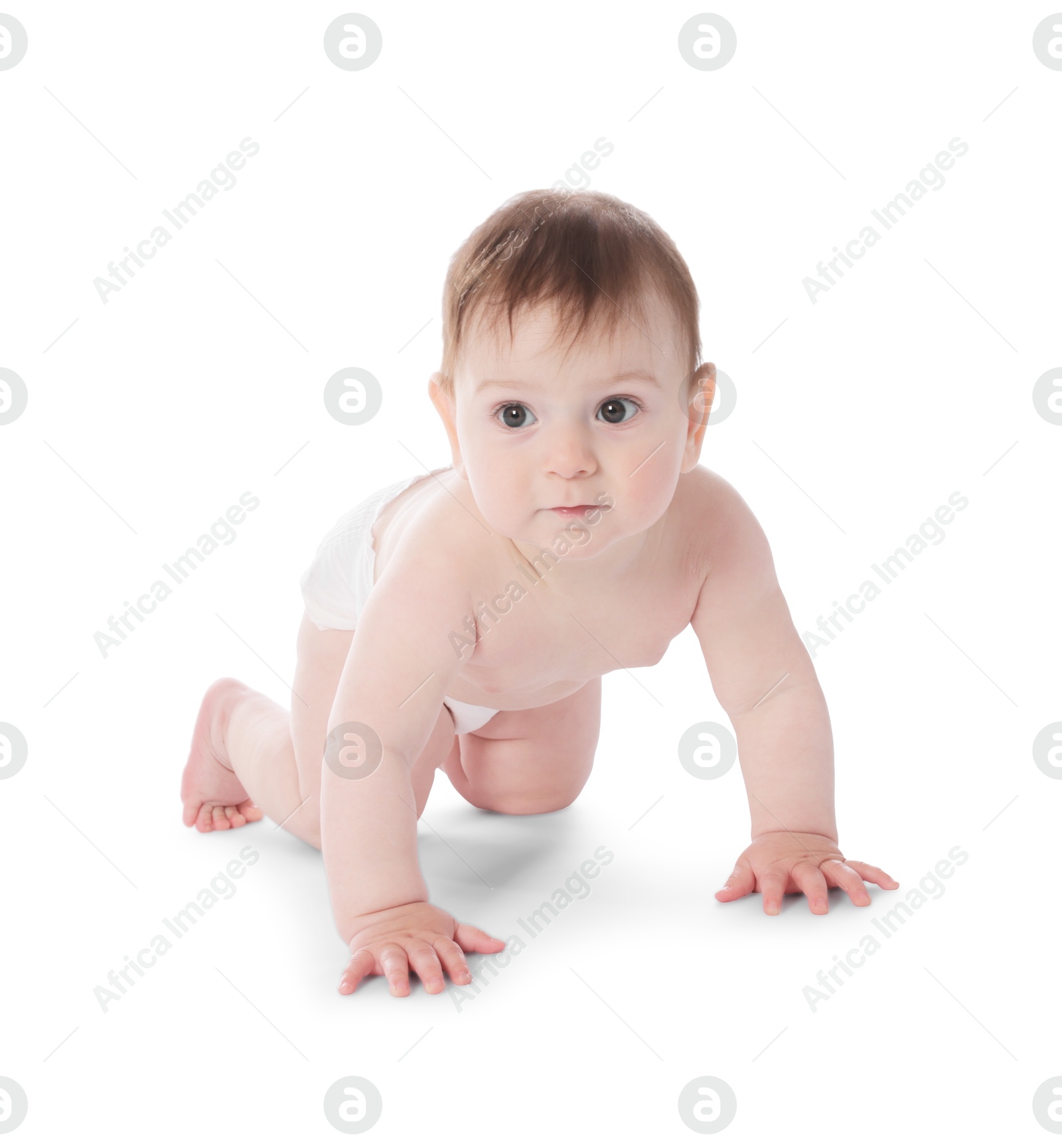 Cute little baby crawling on white background Photo of Cute little baby crawling on white background
