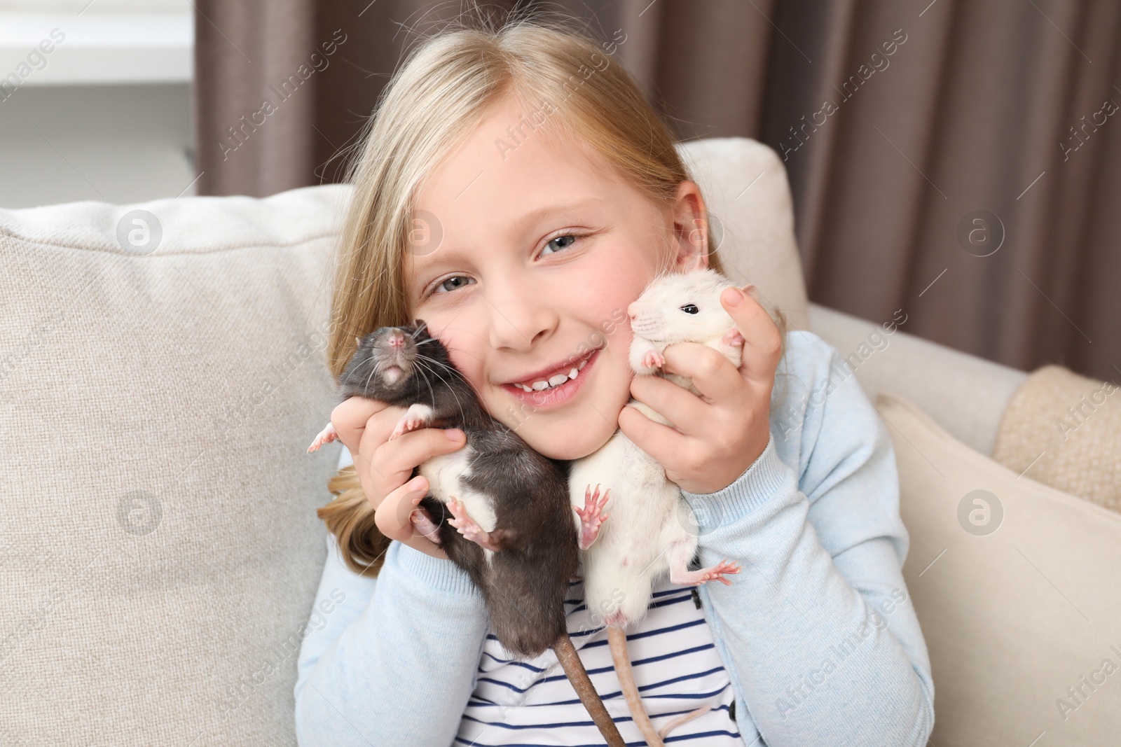 Little girl with cute rats on sofa at home Photo of Little girl with cute rats on sofa at home