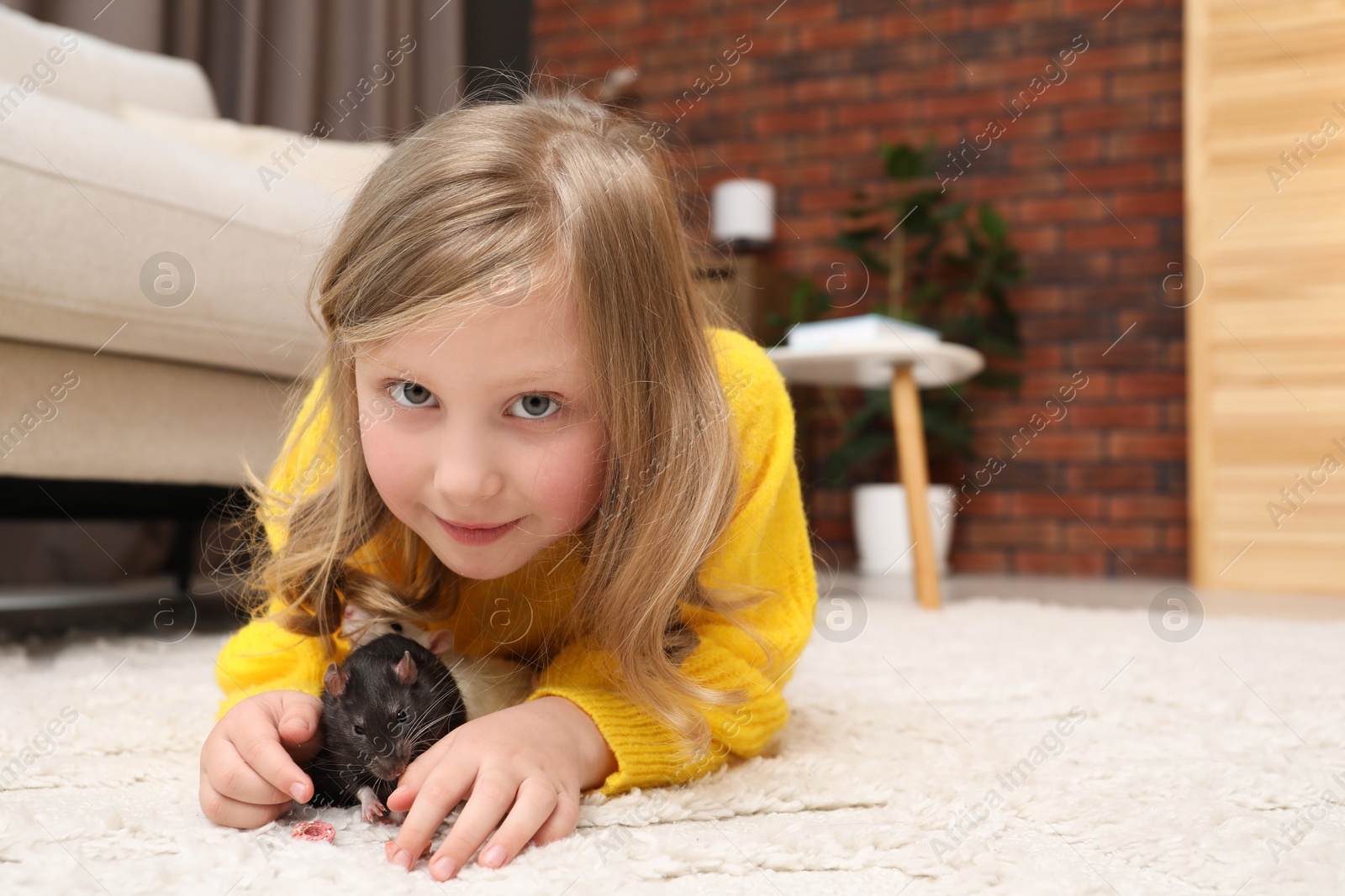Little girl with cute rats on floor at home, space for text Photo of Little girl with cute rats on floor at home, space for text