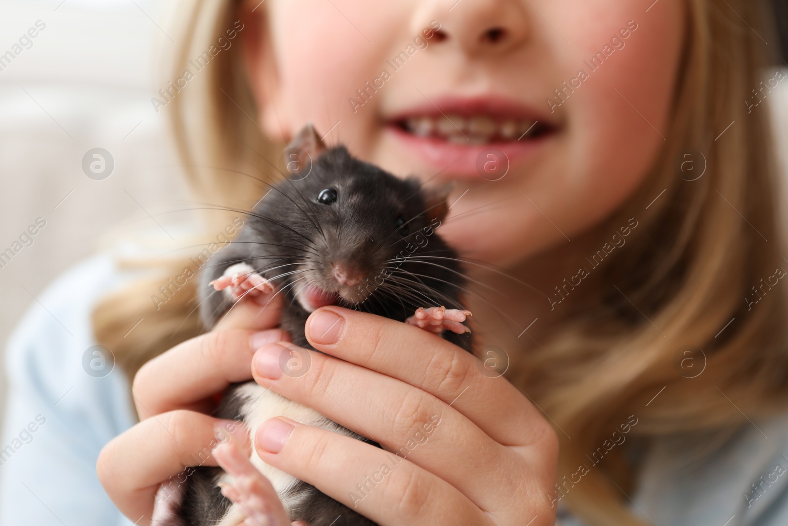 Little girl with cute black rat on sofa at home, closeup Photo of Little girl with cute black rat on sofa at home, closeup