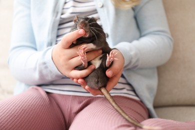 Photo of Little girl with cute black rat on sofa at home, closeup