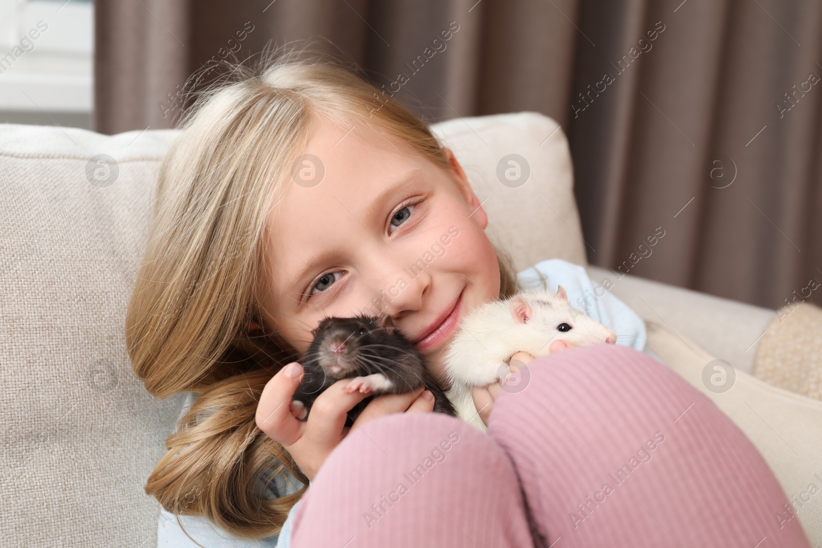 Little girl with cute rats on sofa at home Photo of Little girl with cute rats on sofa at home