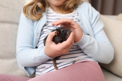 Photo of Little girl with cute black rat on sofa at home, closeup