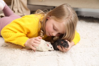 Photo of Little girl with cute rats on floor at home