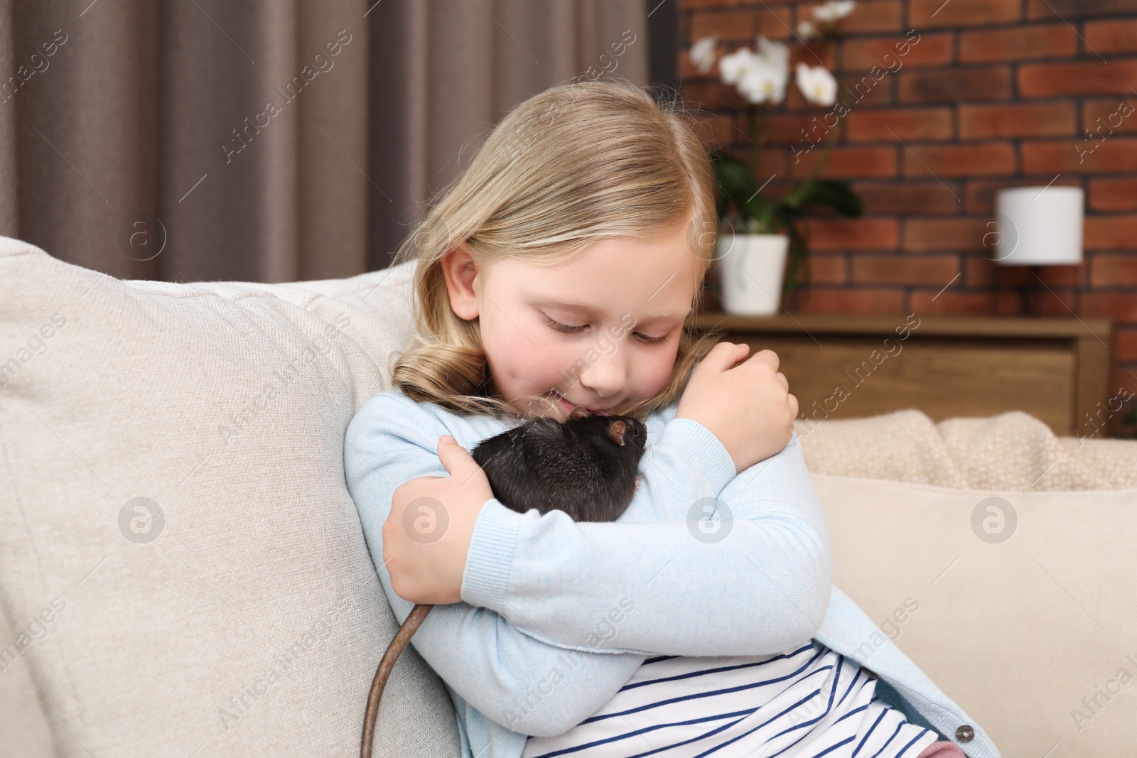 Little girl with cute black rat on sofa at home Photo of Little girl with cute black rat on sofa at home