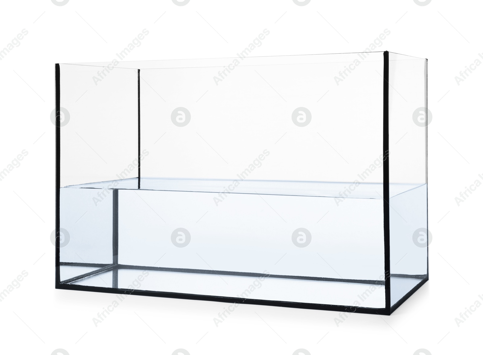 Glass aquarium with water isolated on white Photo of Glass aquarium with water isolated on white