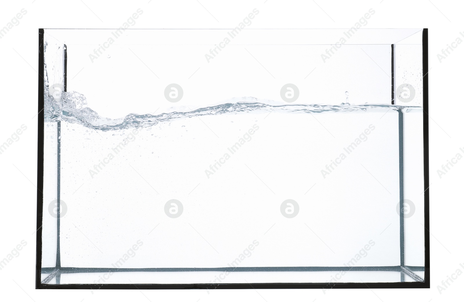 Glass aquarium with splashing water isolated on white Photo of Glass aquarium with splashing water isolated on white