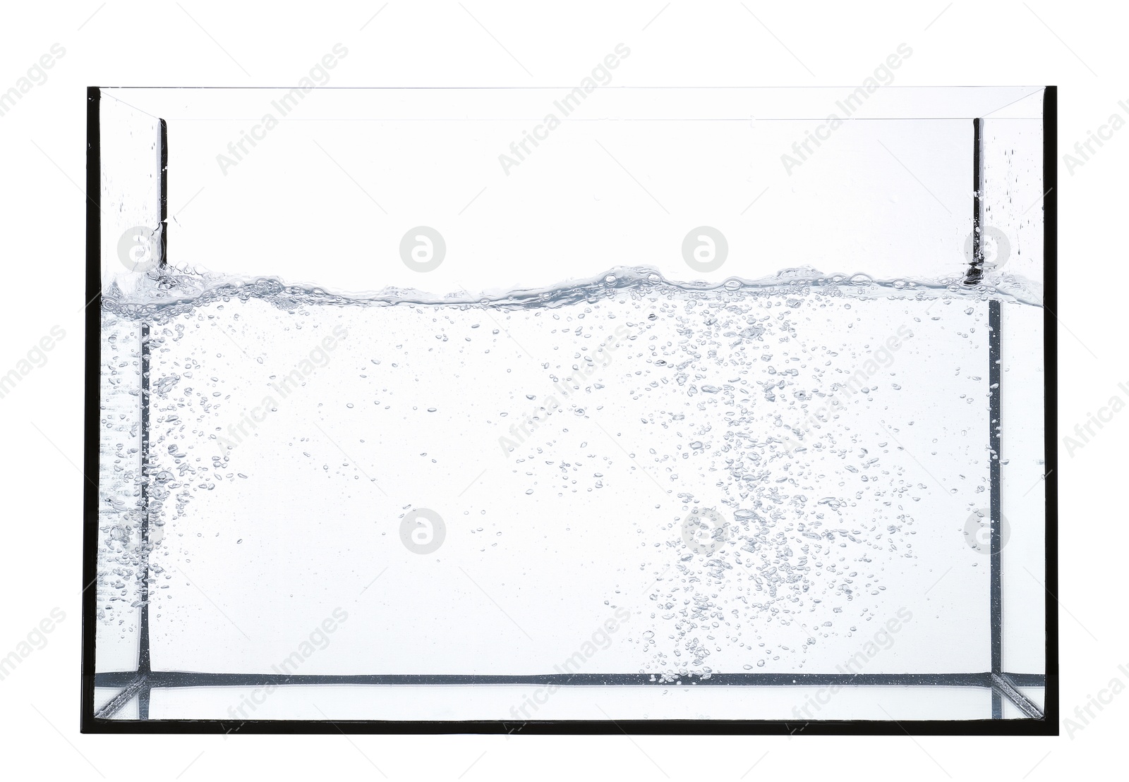 Glass aquarium with splashing water isolated on white Photo of Glass aquarium with splashing water isolated on white