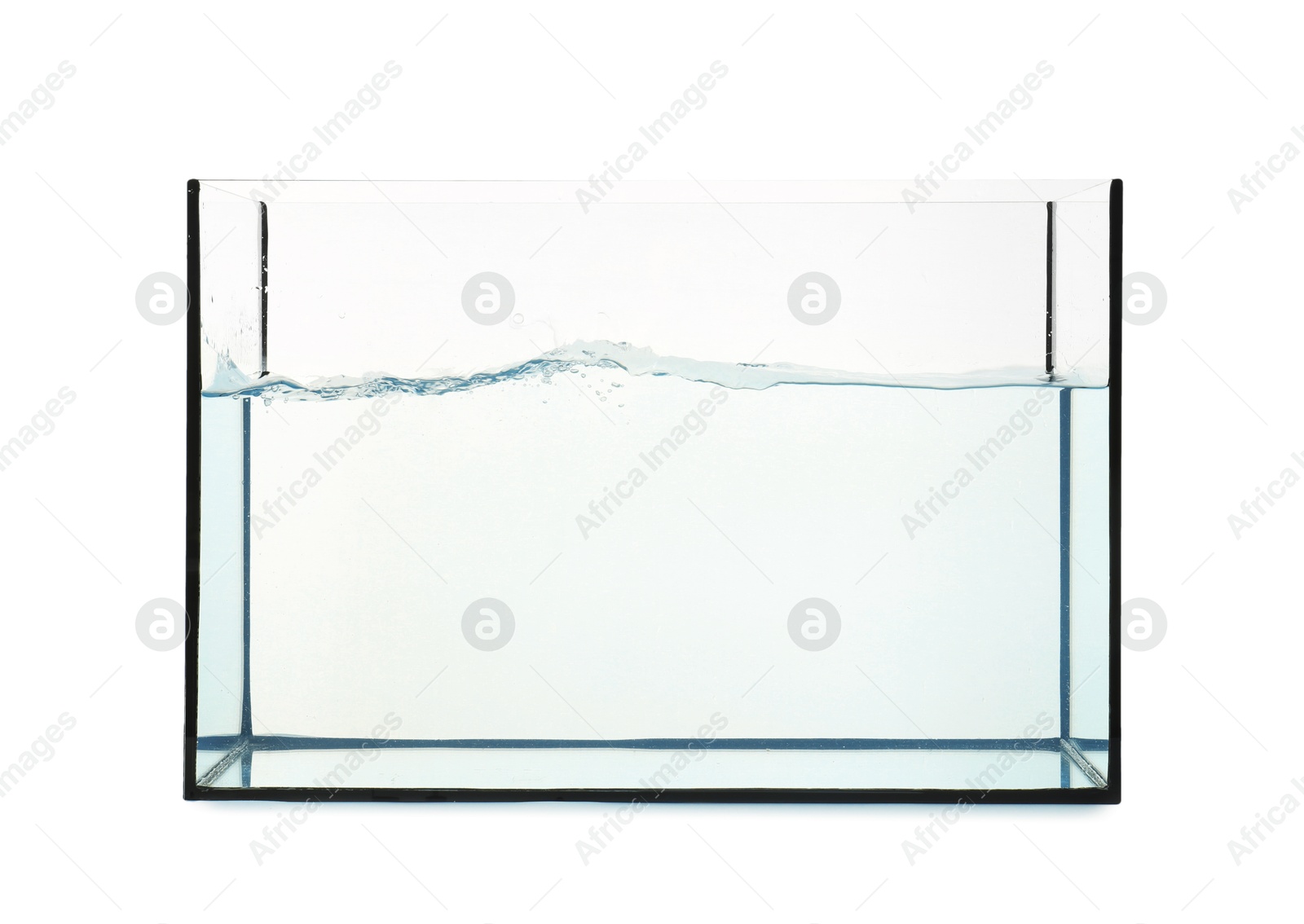 Glass aquarium with splashing water isolated on white Photo of Glass aquarium with splashing water isolated on white