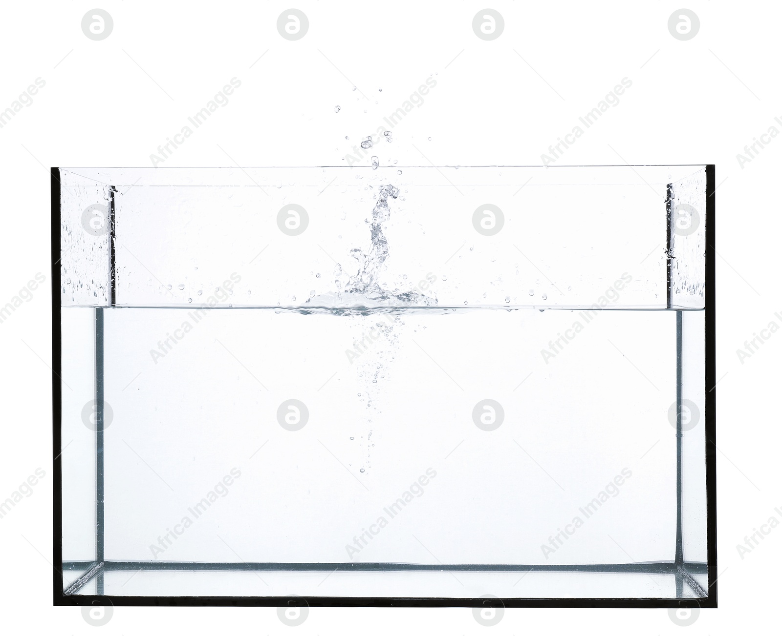 Glass aquarium with splashing water isolated on white Photo of Glass aquarium with splashing water isolated on white