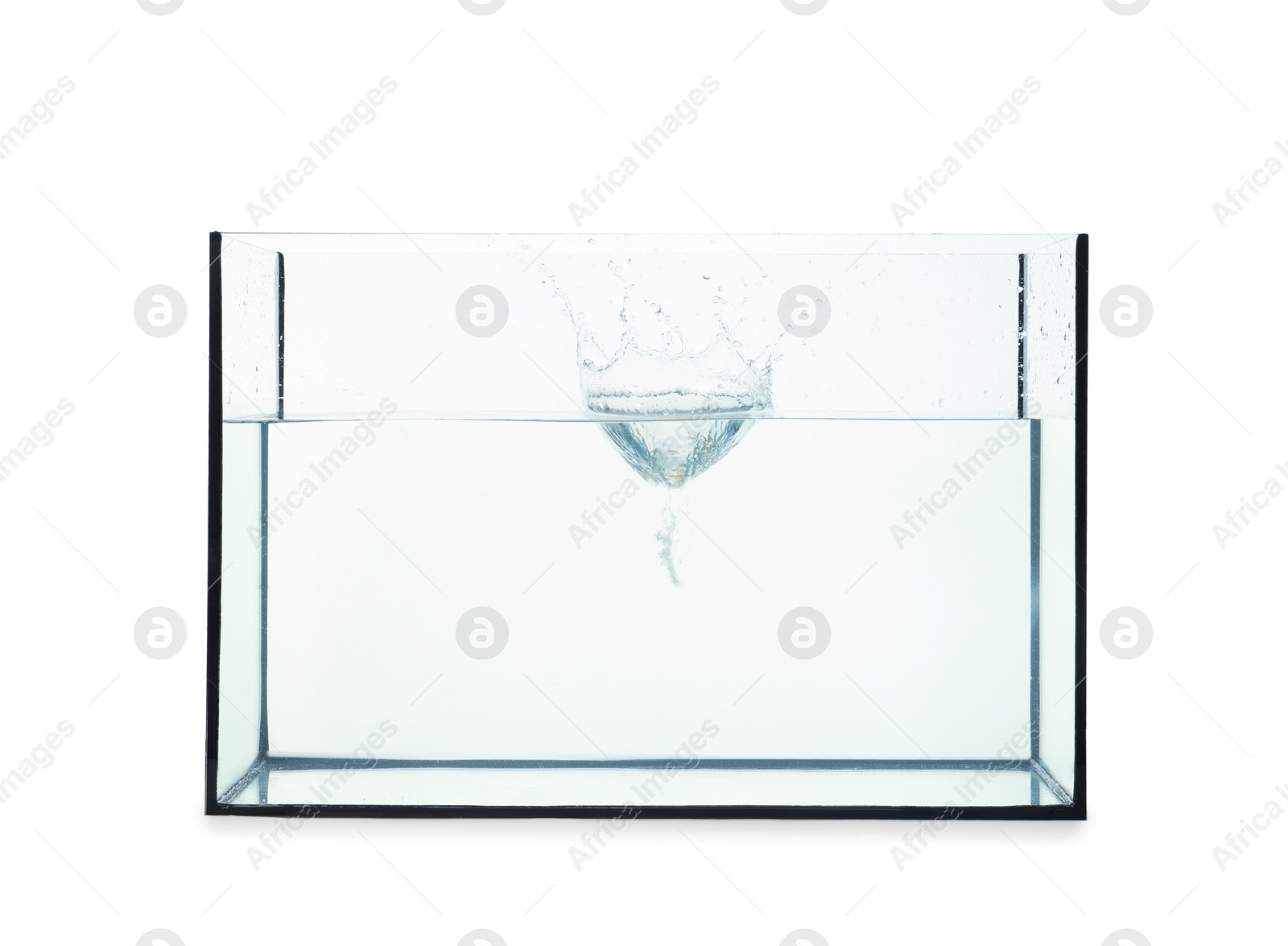 Glass aquarium with splashing water isolated on white Photo of Glass aquarium with splashing water isolated on white