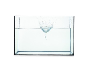 Photo of Glass aquarium with splashing water isolated on white