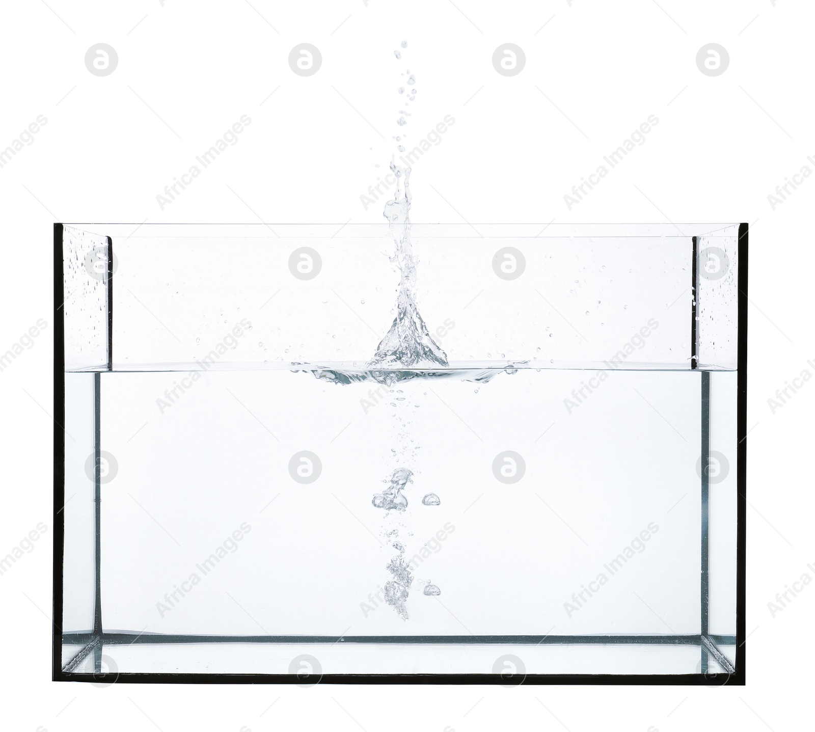 Glass aquarium with splashing water isolated on white Photo of Glass aquarium with splashing water isolated on white