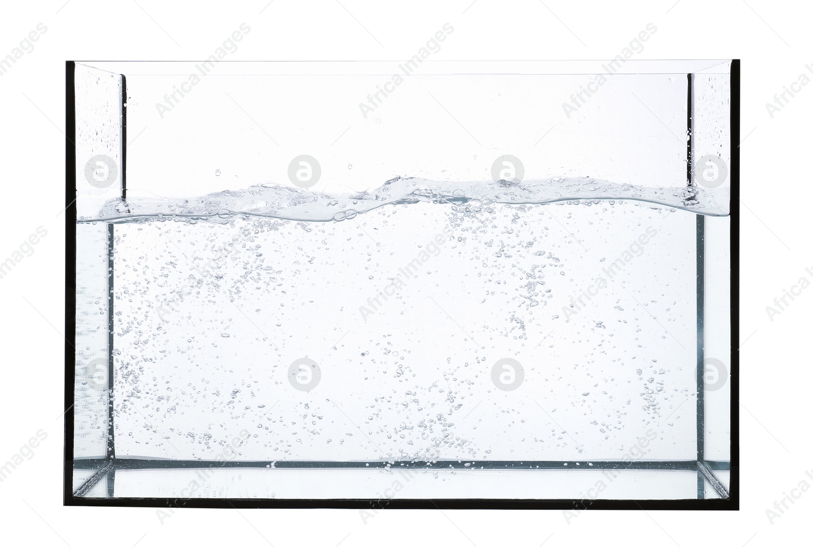 Glass aquarium with splashing water isolated on white Photo of Glass aquarium with splashing water isolated on white