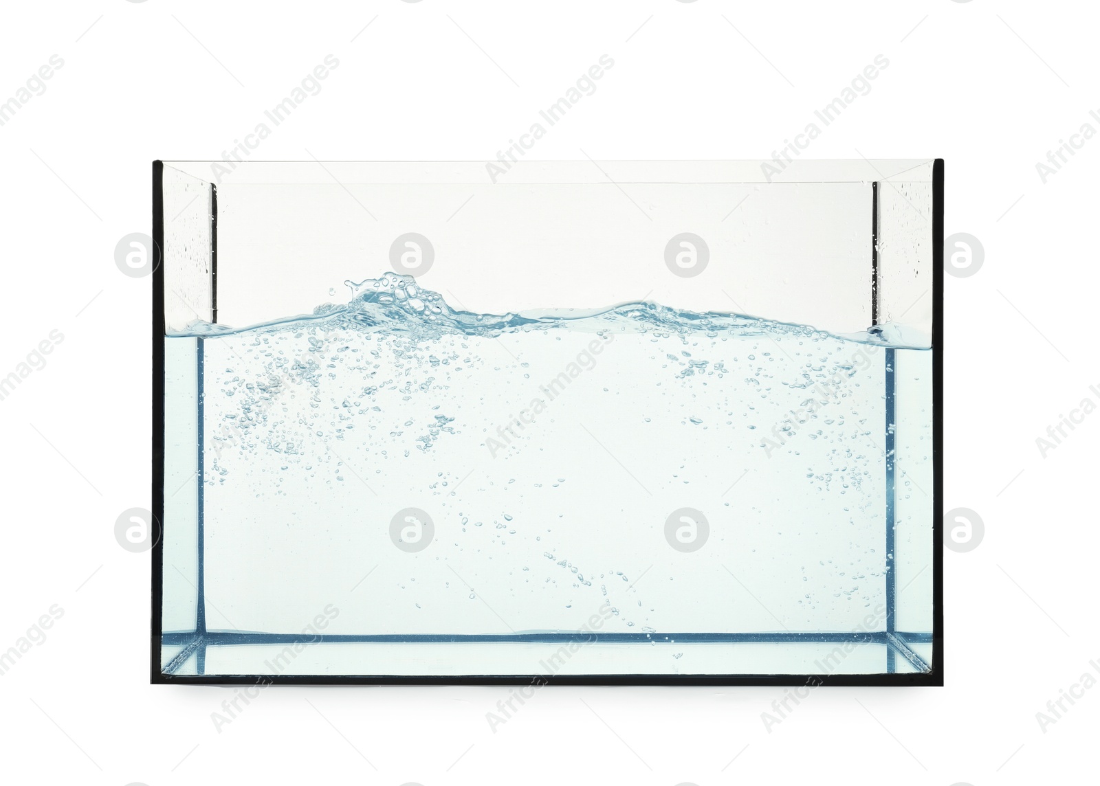 Glass aquarium with splashing water isolated on white Photo of Glass aquarium with splashing water isolated on white