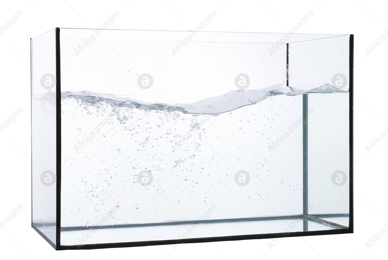 Glass aquarium with splashing water isolated on white Photo of Glass aquarium with splashing water isolated on white