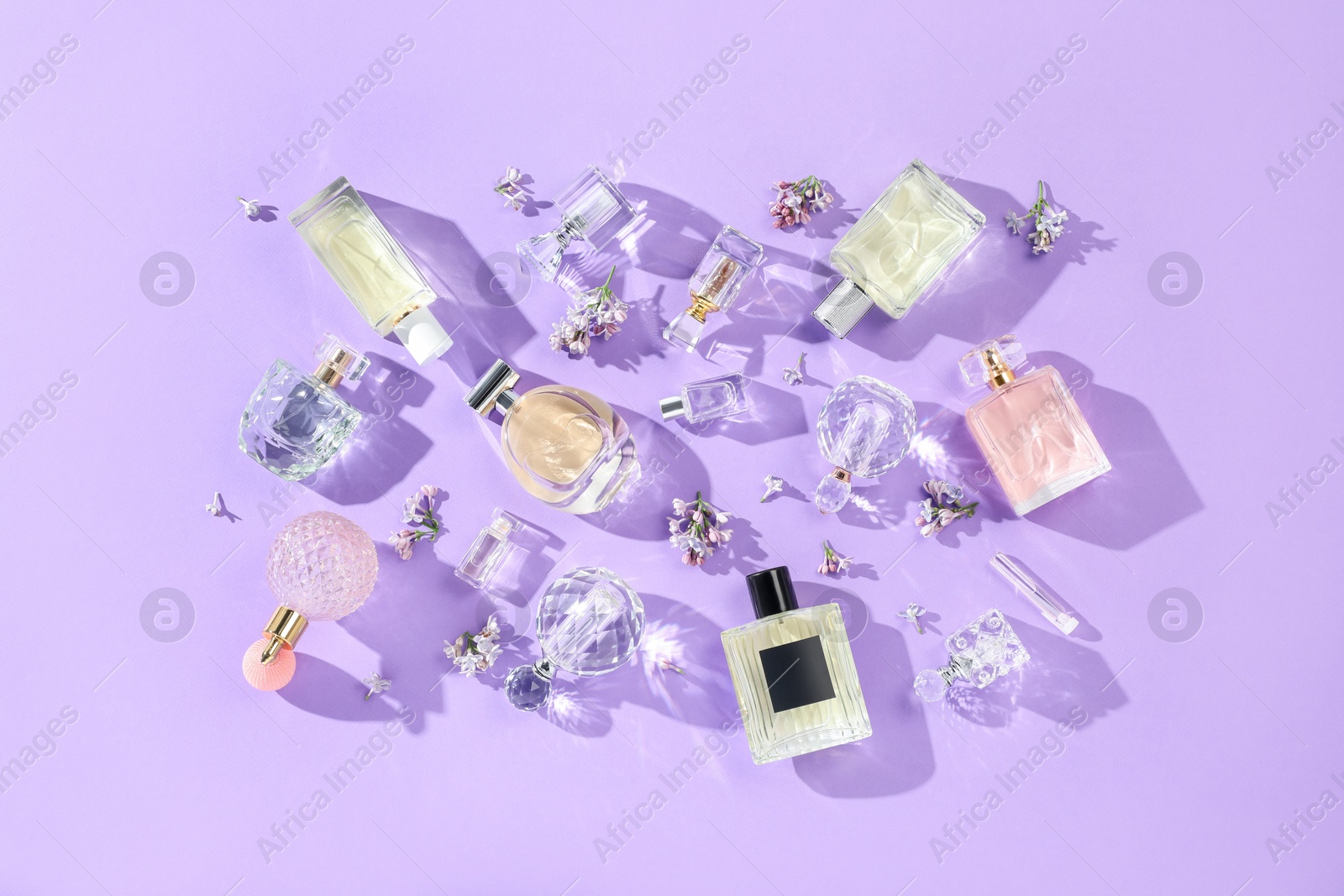 Flat lay composition with perfume bottles and lilac flowers on violet background Photo of Flat lay composition with perfume bottles and lilac flowers on violet background