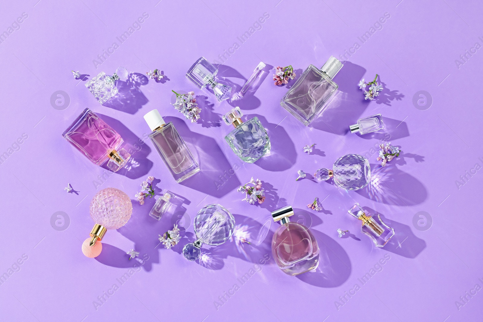 Flat lay composition with perfume bottles and lilac flowers on violet background Photo of Flat lay composition with perfume bottles and lilac flowers on violet background
