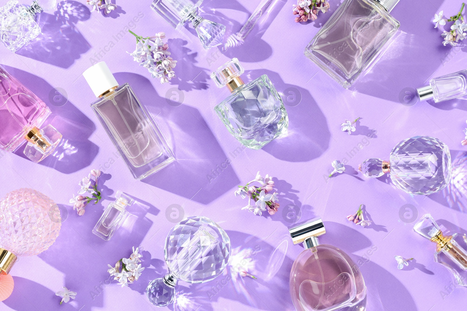 Flat lay composition with perfume bottles and lilac flowers on violet background Photo of Flat lay composition with perfume bottles and lilac flowers on violet background