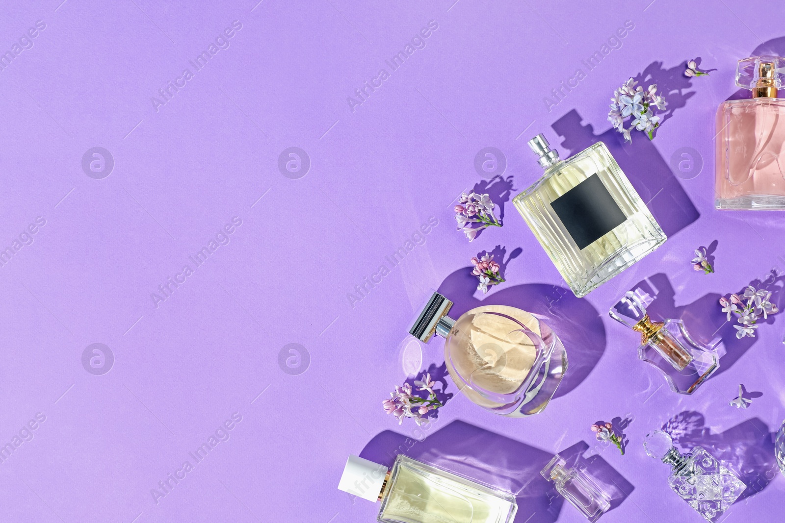 Flat lay composition with perfume bottles and lilac flowers on violet background. Space for text Photo of Flat lay composition with perfume bottles and lilac flowers on violet background. Space for text