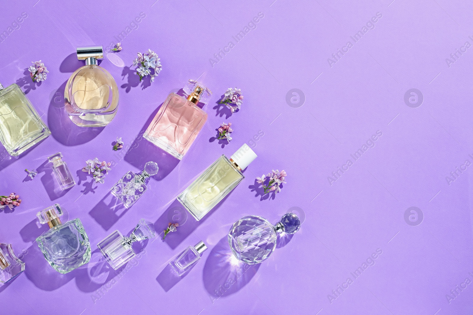 Flat lay composition with perfume bottles and lilac flowers on violet background. Space for text Photo of Flat lay composition with perfume bottles and lilac flowers on violet background. Space for text