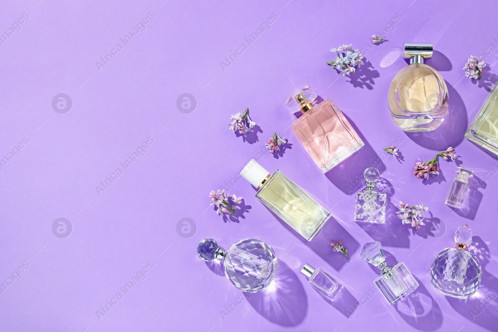 Flat lay composition with perfume bottles and lilac flowers on violet background. Space for text Photo of Flat lay composition with perfume bottles and lilac flowers on violet background. Space for text