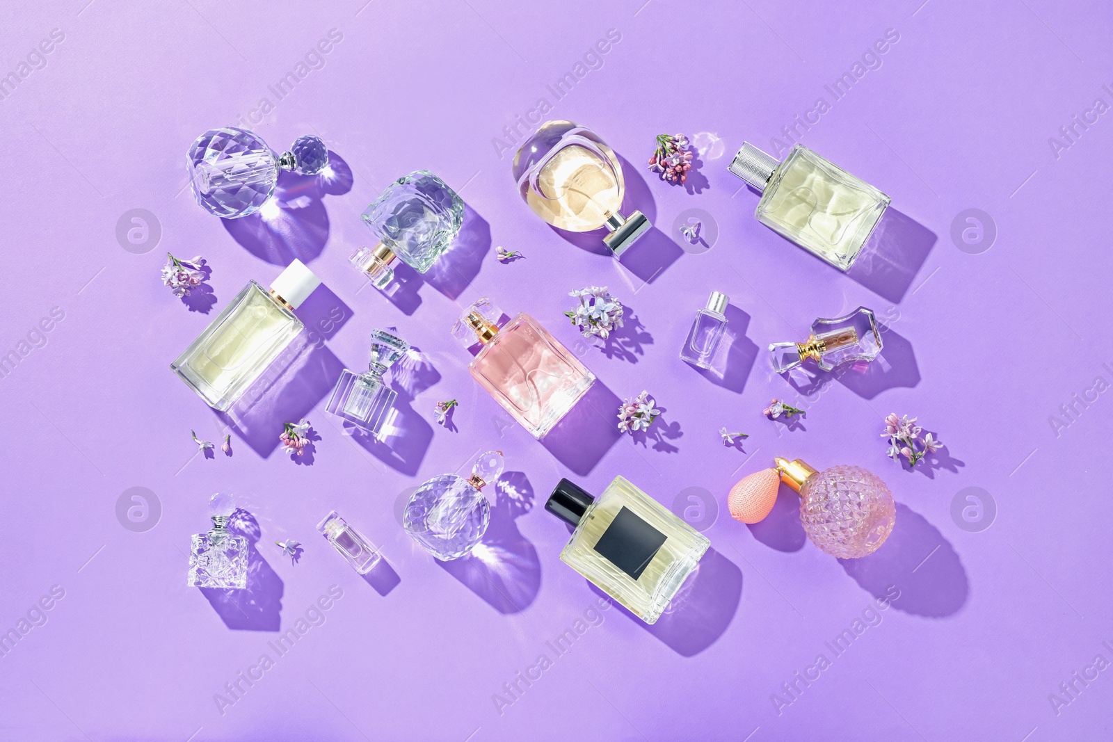 Flat lay composition with perfume bottles and lilac flowers on violet background Photo of Flat lay composition with perfume bottles and lilac flowers on violet background