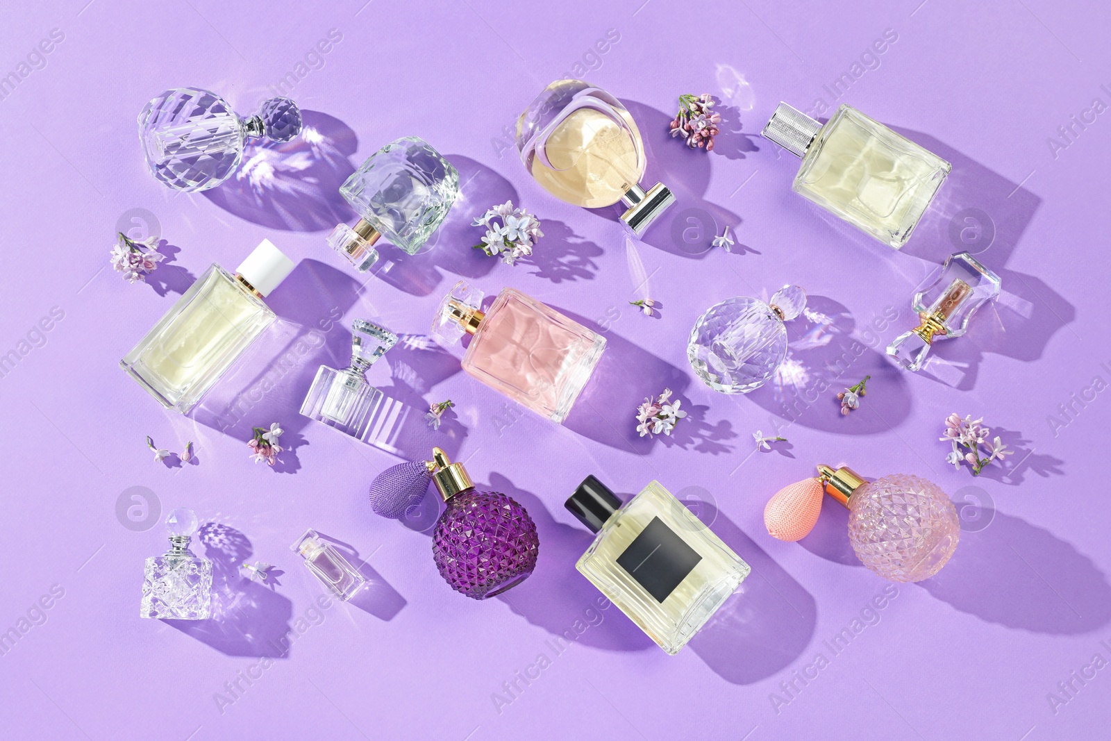 Flat lay composition with perfume bottles and lilac flowers on violet background Photo of Flat lay composition with perfume bottles and lilac flowers on violet background