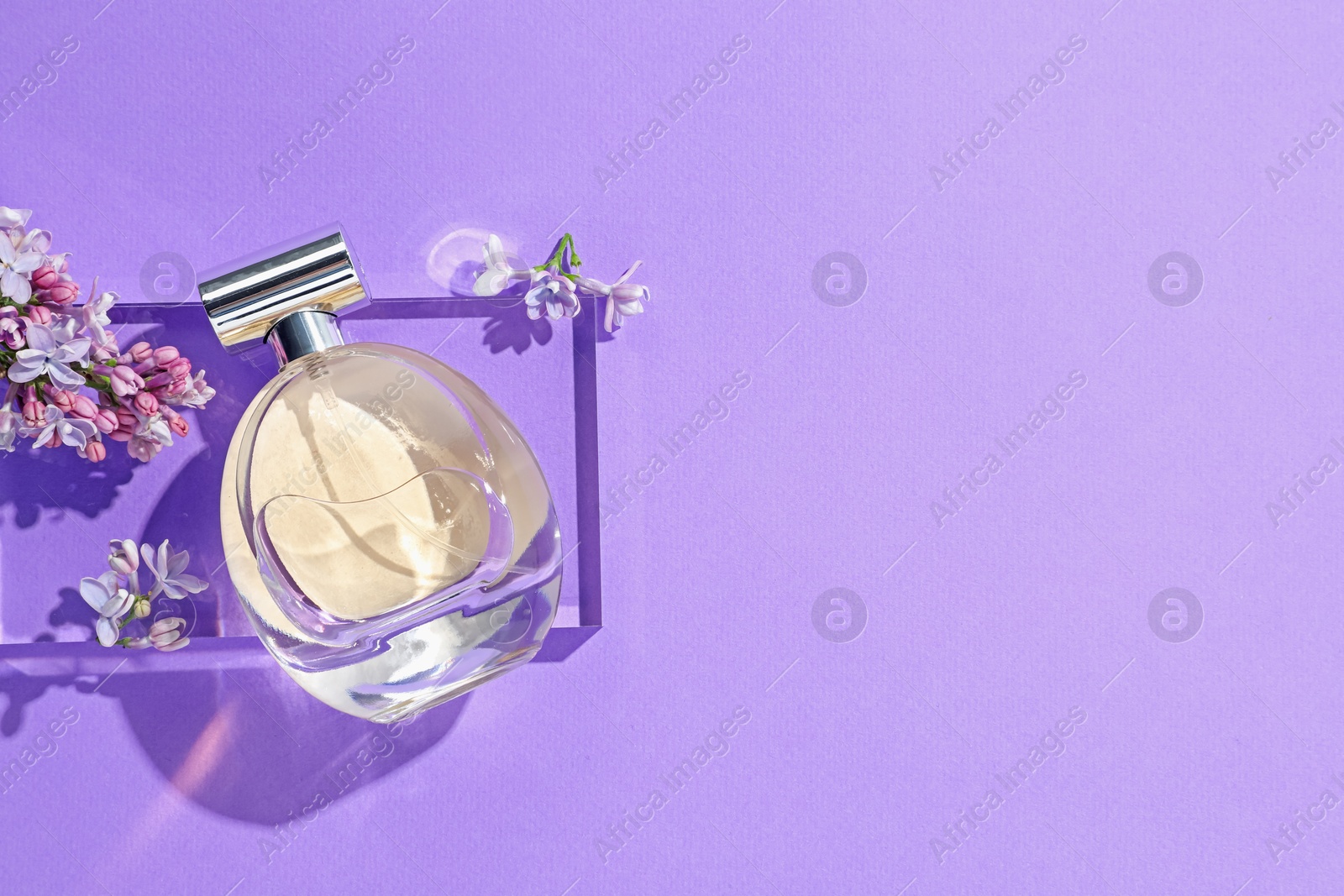 Bottle of perfume and lilac flowers on violet background, flat lay. Space for text Photo of Bottle of perfume and lilac flowers on violet background, flat lay. Space for text