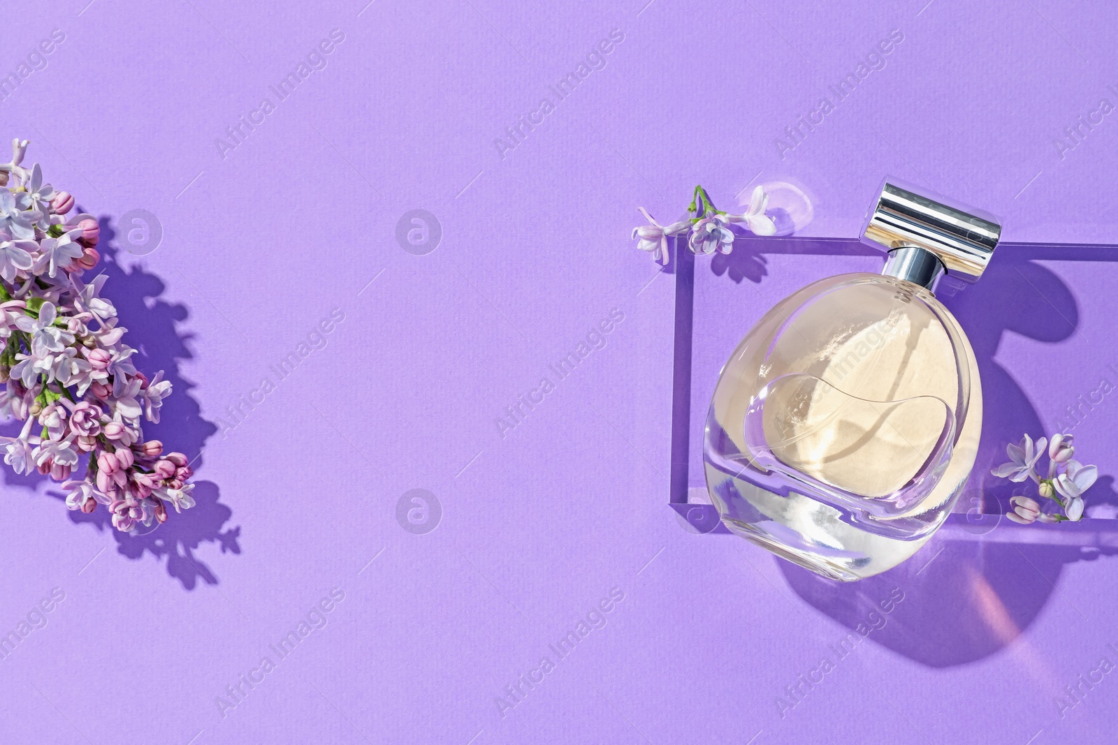 Flat lay composition with bottle of perfume and lilac flowers on violet background. Space for text Photo of Flat lay composition with bottle of perfume and lilac flowers on violet background. Space for text