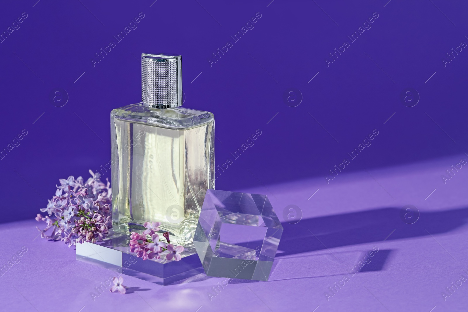 Stylish presentation of perfume bottle and lilac flowers on purple background, closeup. Space for text Photo of Stylish presentation of perfume bottle and lilac flowers on purple background, closeup. Space for text