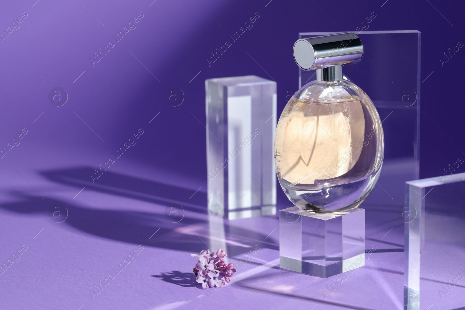 Stylish presentation of perfume bottle and lilac flowers on purple background, closeup. Space for text Photo of Stylish presentation of perfume bottle and lilac flowers on purple background, closeup. Space for text
