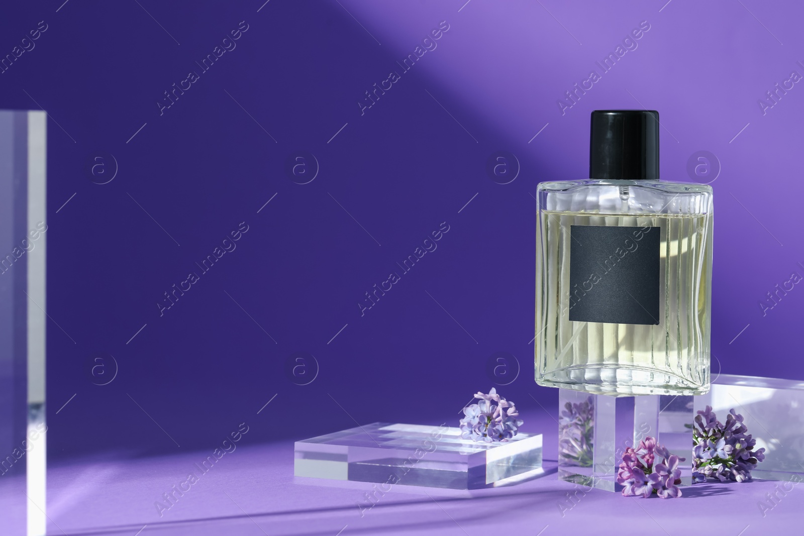 Stylish presentation of perfume bottle and lilac flowers on purple background, closeup. Space for text Photo of Stylish presentation of perfume bottle and lilac flowers on purple background, closeup. Space for text