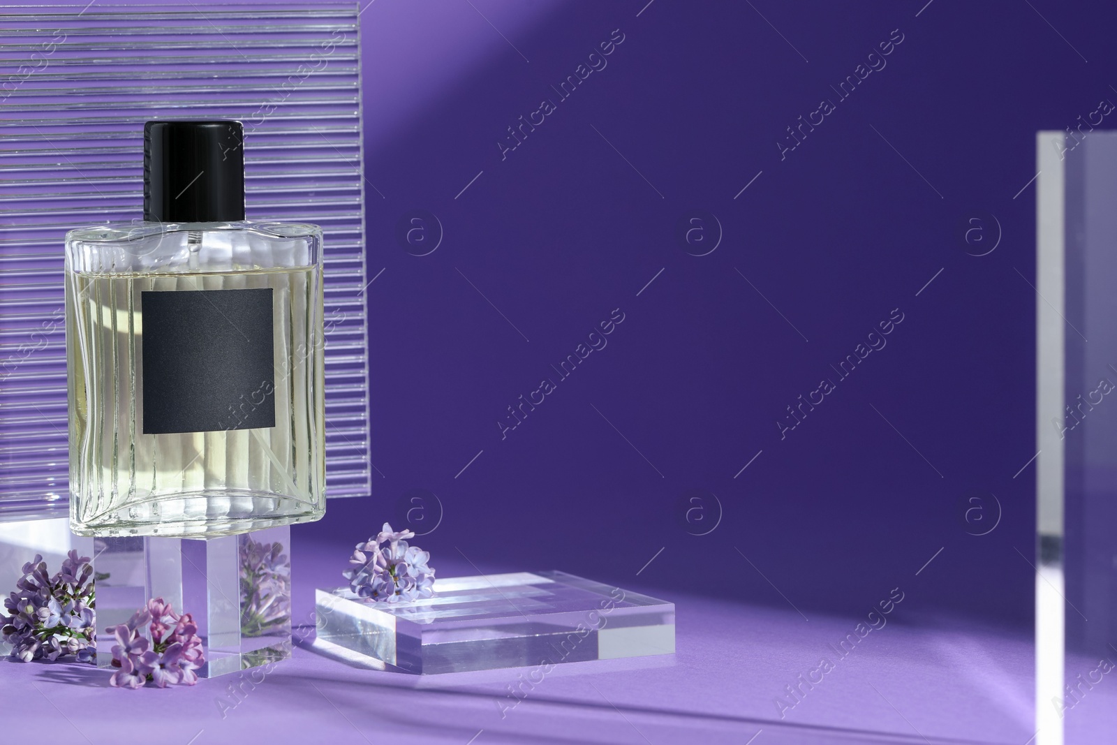Stylish presentation of perfume bottle and lilac flowers on purple background, closeup. Space for text Photo of Stylish presentation of perfume bottle and lilac flowers on purple background, closeup. Space for text