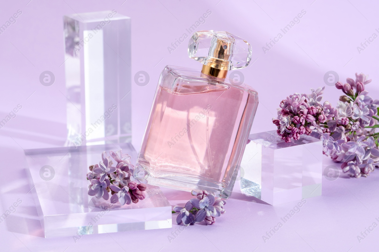 Stylish presentation of perfume bottle and lilac flowers on violet background, closeup Photo of Stylish presentation of perfume bottle and lilac flowers on violet background, closeup