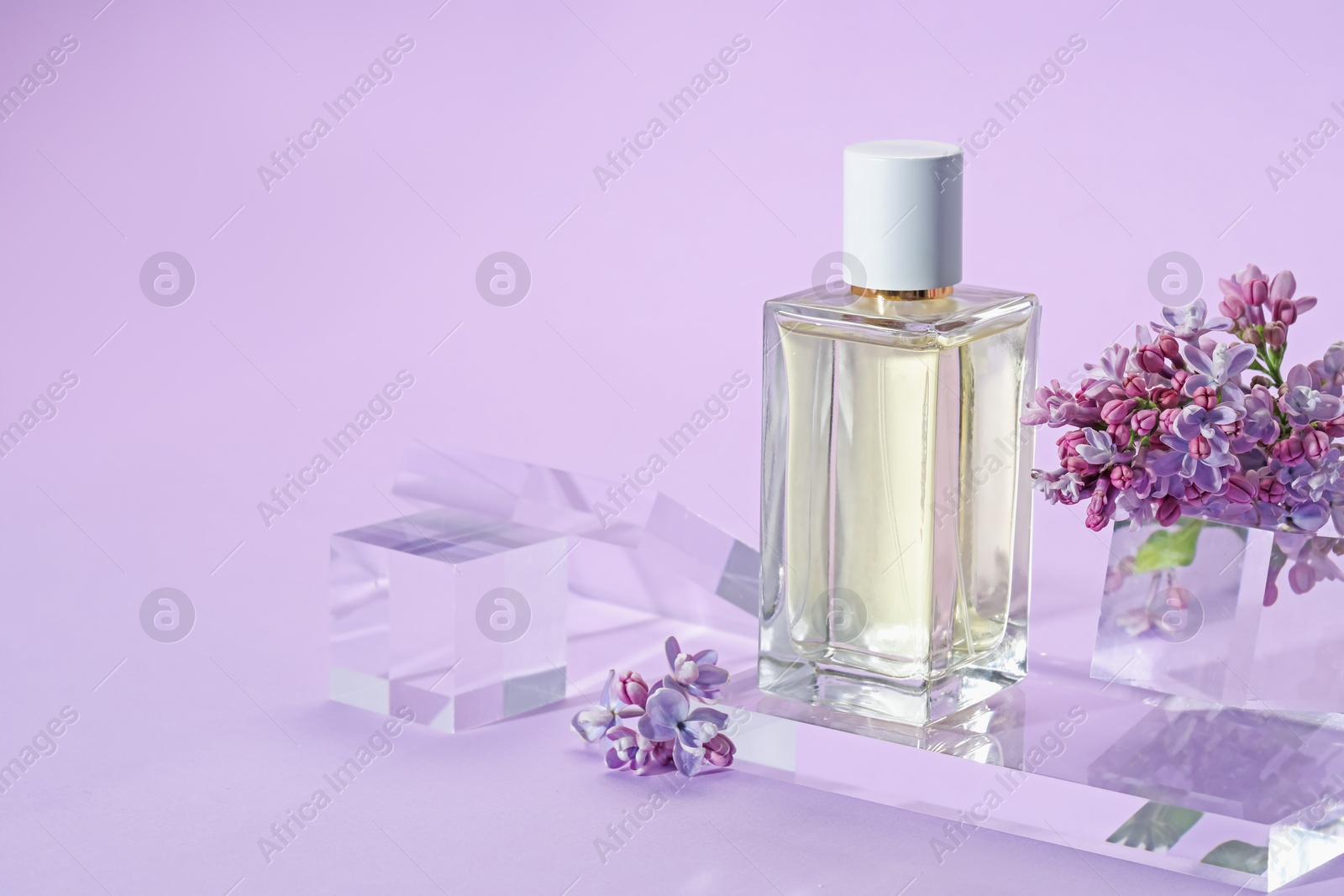 Stylish presentation of perfume bottle and lilac flowers on violet background, closeup. Space for text Photo of Stylish presentation of perfume bottle and lilac flowers on violet background, closeup. Space for text