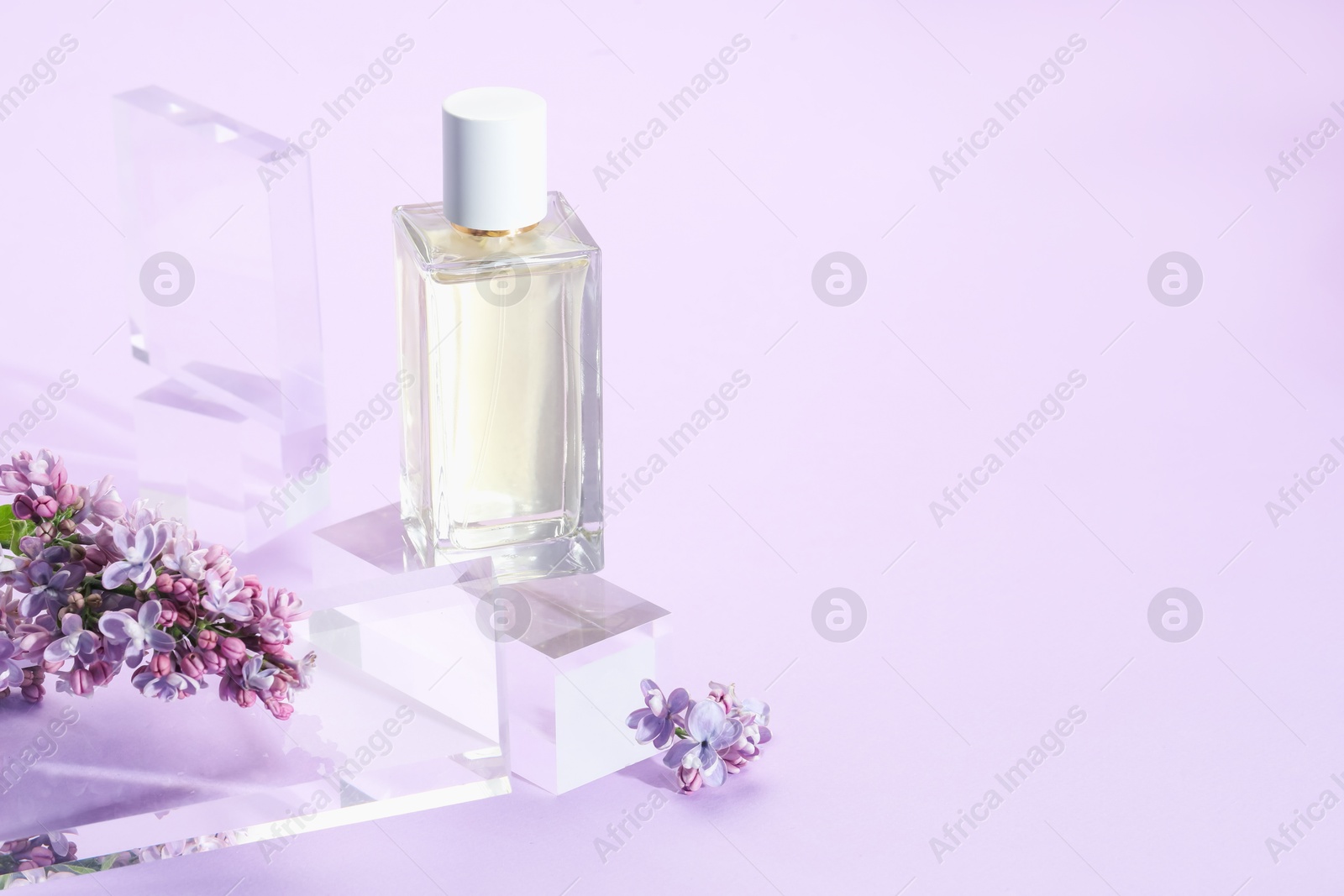 Stylish presentation of perfume bottle and lilac flowers on violet background, closeup. Space for text Photo of Stylish presentation of perfume bottle and lilac flowers on violet background, closeup. Space for text
