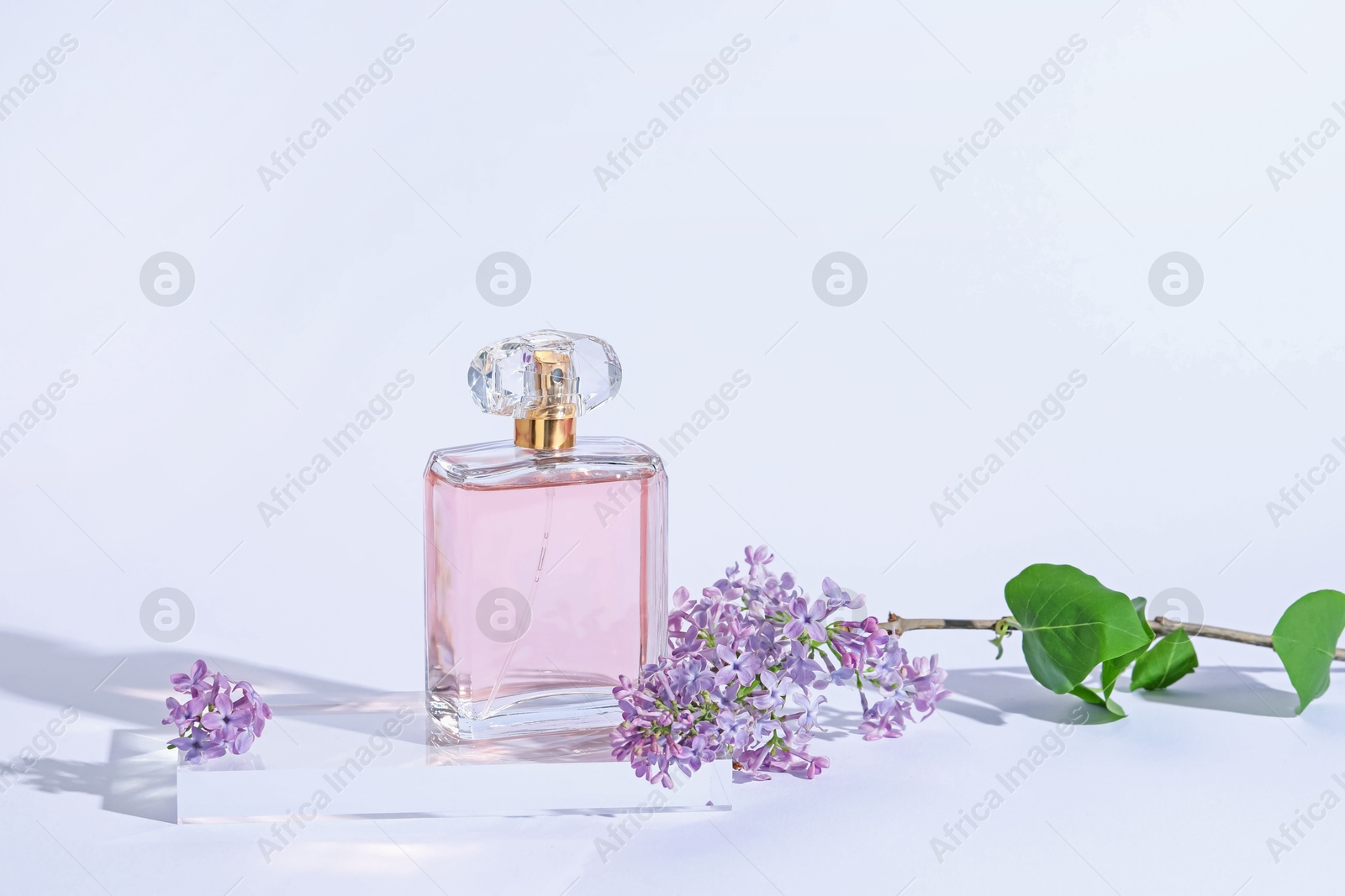 Bottle of perfume and branch with lilac flowers on light grey background, closeup Photo of Bottle of perfume and branch with lilac flowers on light grey background, closeup