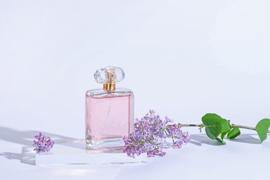Photo of Bottle of perfume and branch with lilac flowers on light grey background, closeup