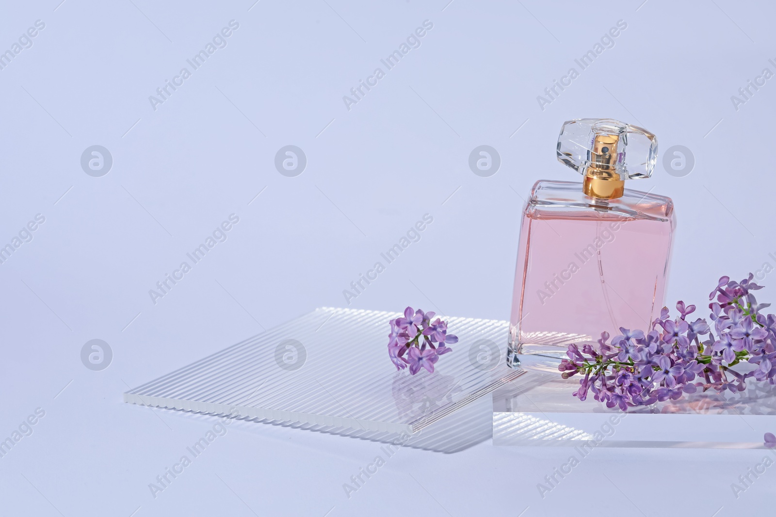 Stylish presentation of perfume bottle and lilac flowers on light grey background, closeup. Space for text Photo of Stylish presentation of perfume bottle and lilac flowers on light grey background, closeup. Space for text