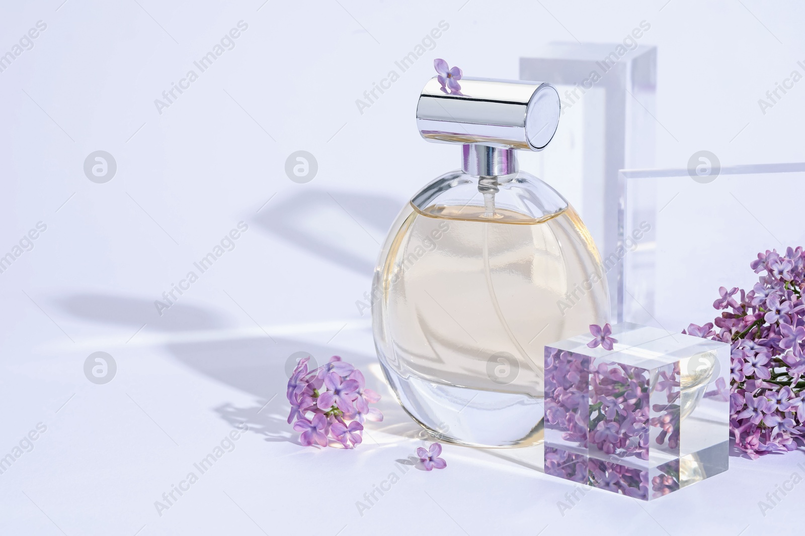 Stylish presentation of perfume bottle and lilac flowers on light grey background, closeup. Space for text Photo of Stylish presentation of perfume bottle and lilac flowers on light grey background, closeup. Space for text
