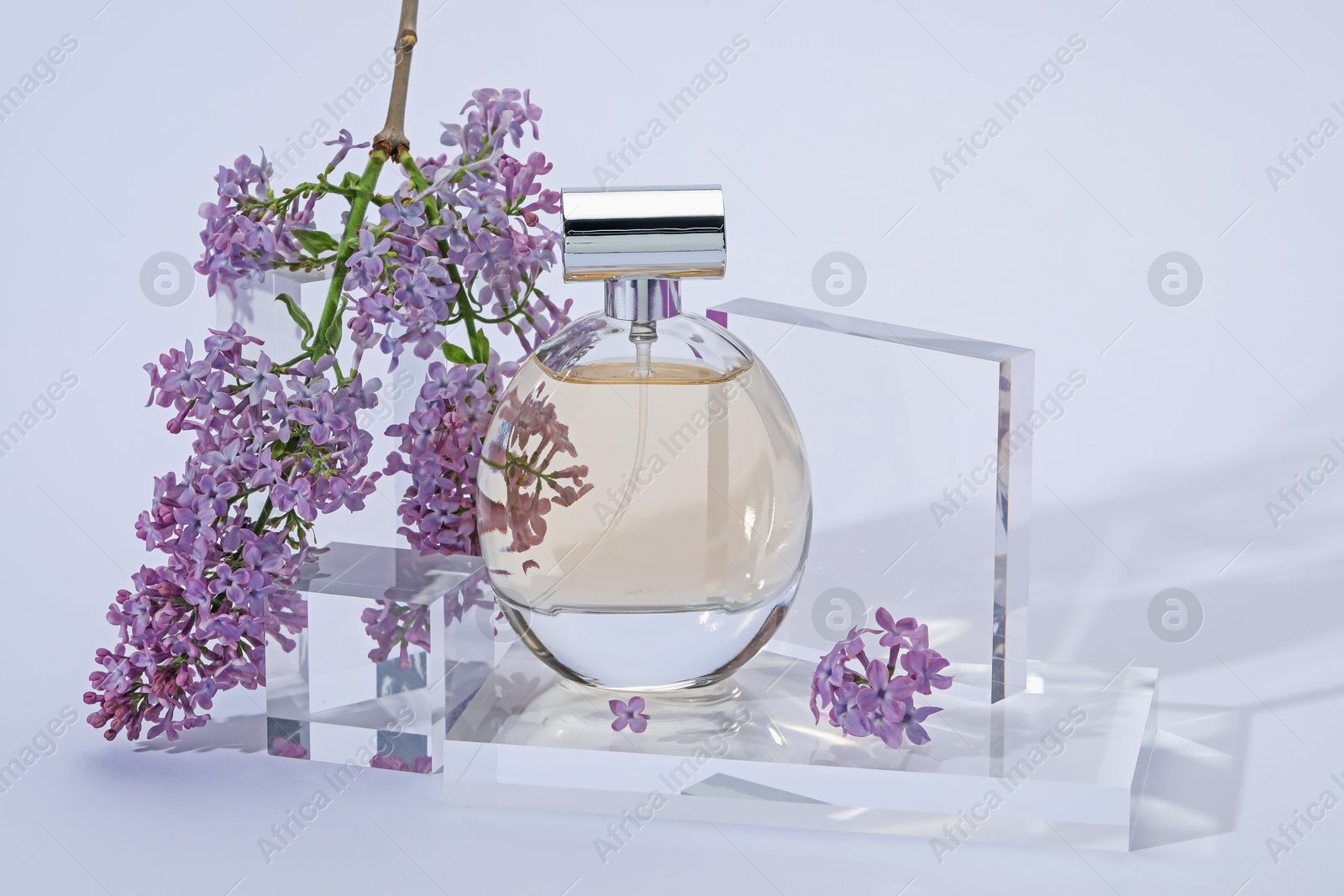 Stylish presentation of perfume bottle and lilac flowers on light grey background, closeup Photo of Stylish presentation of perfume bottle and lilac flowers on light grey background, closeup