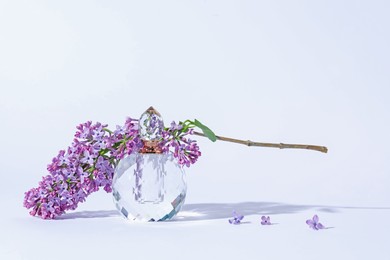 Photo of Perfume bottle and branch with lilac flowers on light grey background, closeup