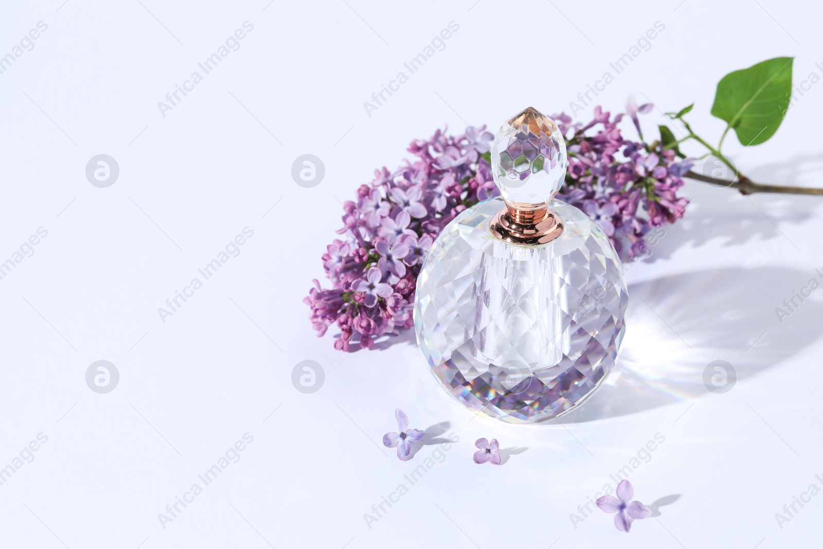 Perfume bottle and branch with lilac flowers on light grey background. Space for text Photo of Perfume bottle and branch with lilac flowers on light grey background. Space for text