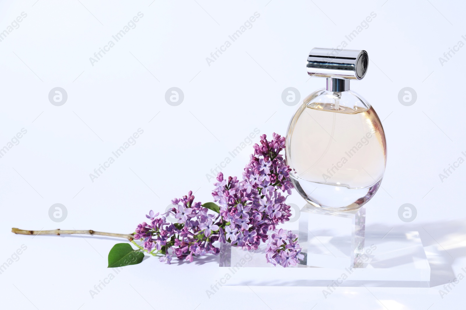 Perfume bottle and branch with lilac flowers on light grey background, closeup Photo of Perfume bottle and branch with lilac flowers on light grey background, closeup