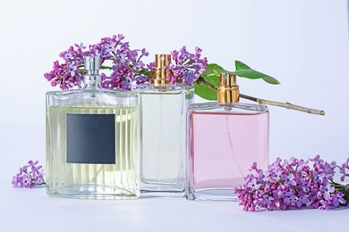 Photo of Perfume bottles and branches with lilac flowers on light grey background, closeup