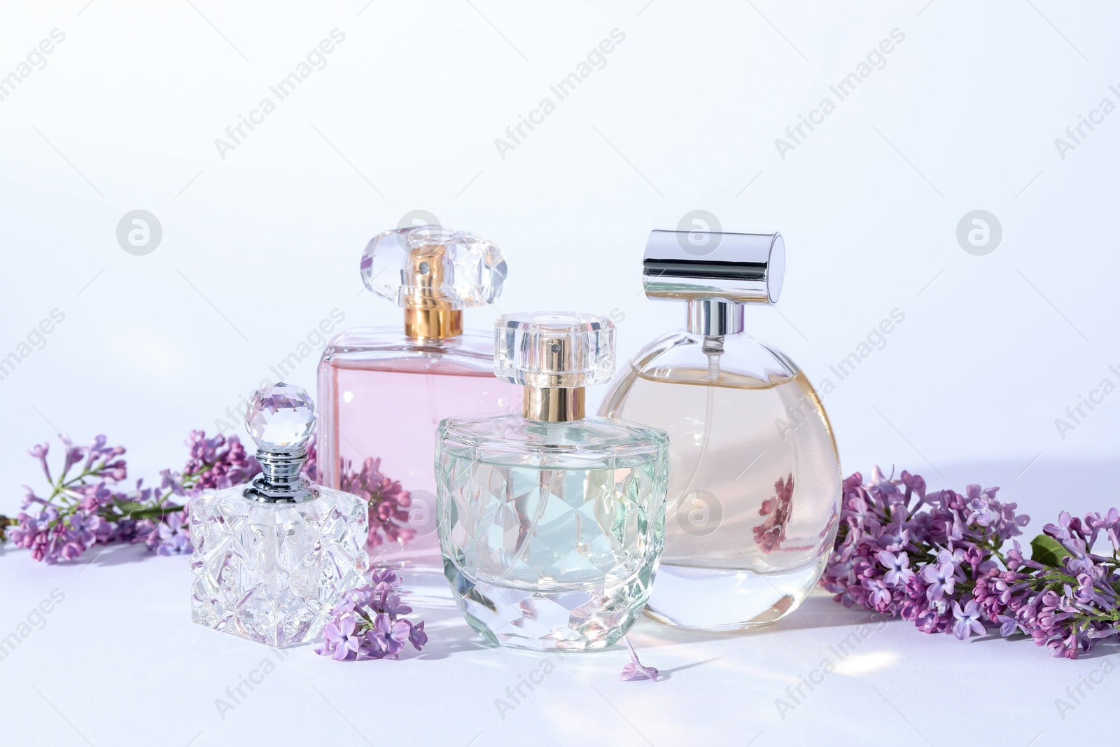 Perfume bottles and branches with lilac flowers on light grey background, closeup Photo of Perfume bottles and branches with lilac flowers on light grey background, closeup