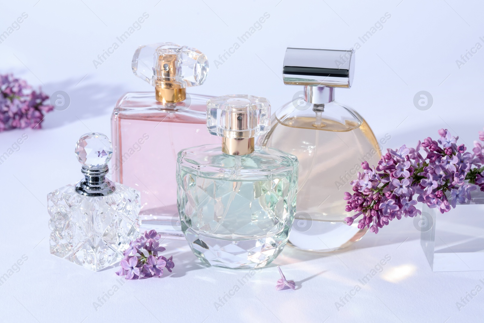 Perfume bottles and branches with lilac flowers on light grey background, closeup Photo of Perfume bottles and branches with lilac flowers on light grey background, closeup