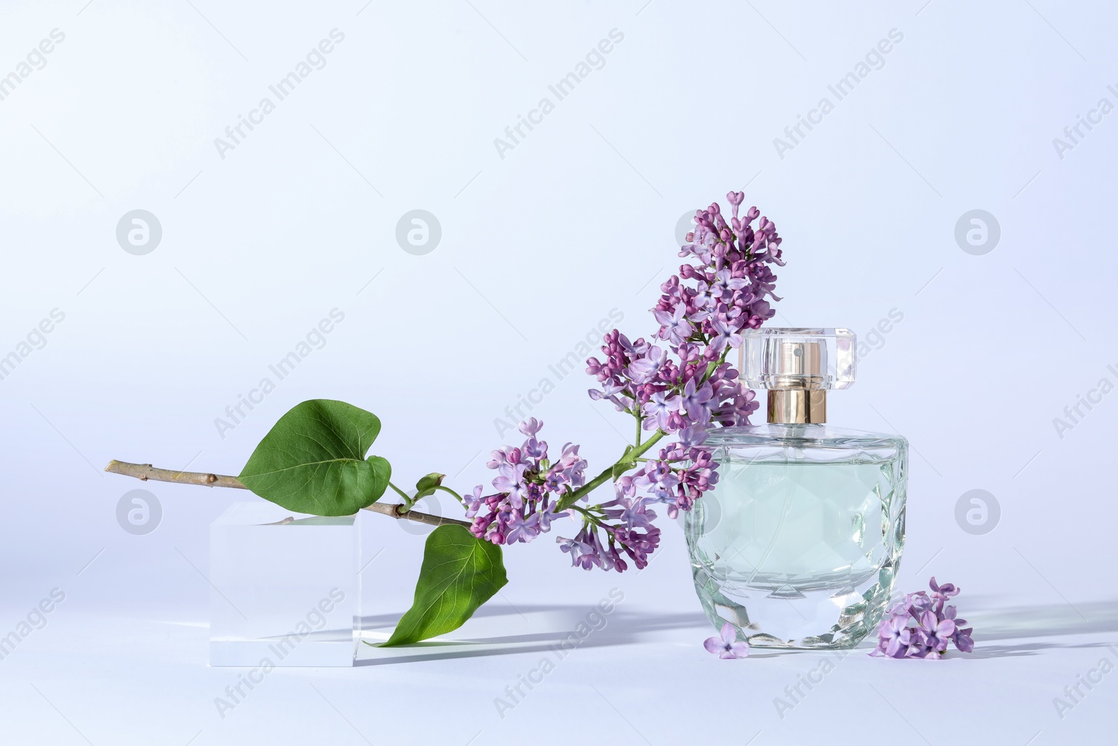 Perfume bottle and branch with lilac flowers on light grey background, closeup Photo of Perfume bottle and branch with lilac flowers on light grey background, closeup