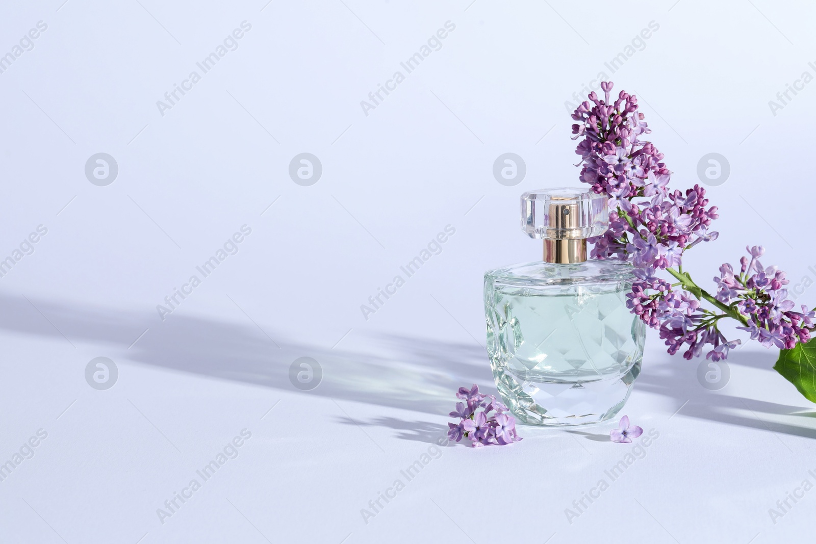 Perfume bottle and branch with lilac flowers on light grey background. Space for text Photo of Perfume bottle and branch with lilac flowers on light grey background. Space for text